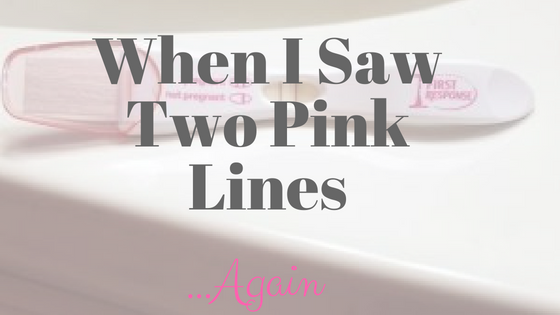 What Happened To Pink Line _ Pink Line expected to open ‘this year’ – WLSL