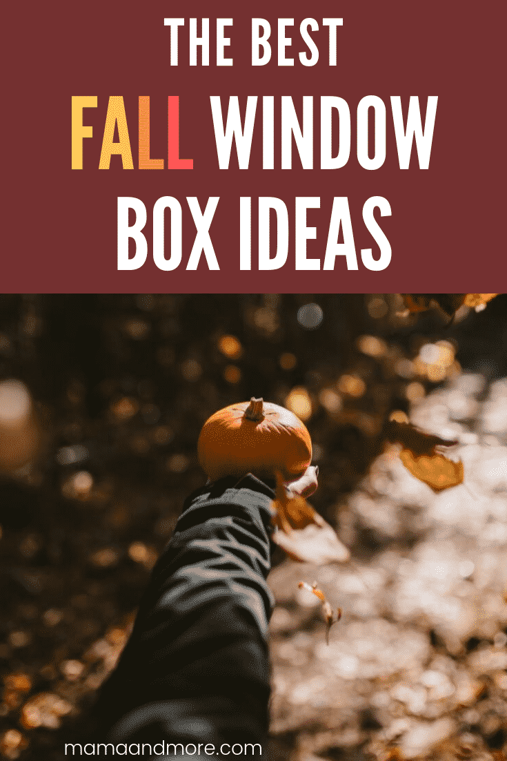 Fall Window Box Ideas Fall Window Box Ideas