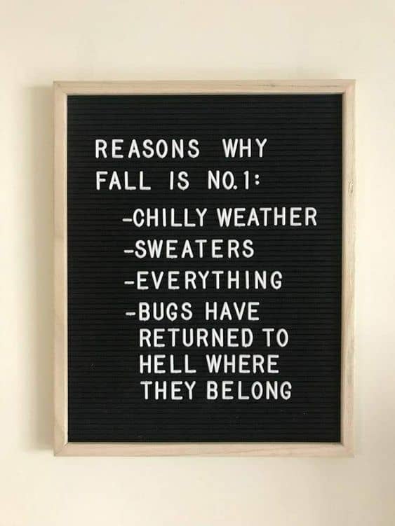 Funny fall quote about crisp air